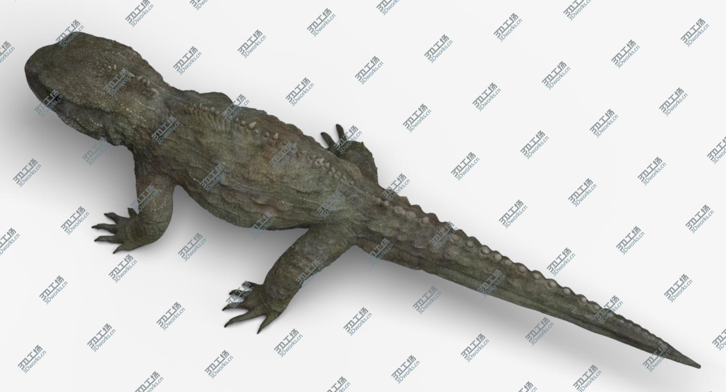 images/goods_img/2021040163/3D model Tuatara/4.jpg